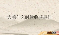 大蒜什么时候收获最佳