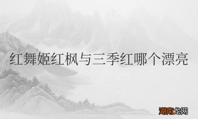 红舞姬红枫与三季红哪个漂亮