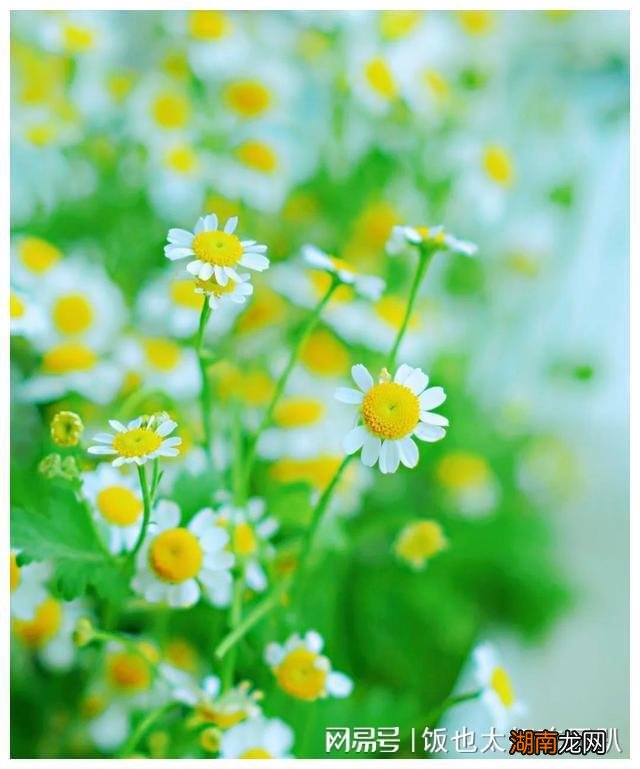 情感语录图片带字 伤心