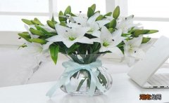水插百合花怎么水养更长久