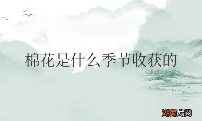 棉花是什么季节收获的植物