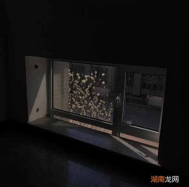 励志情感语录经典短句