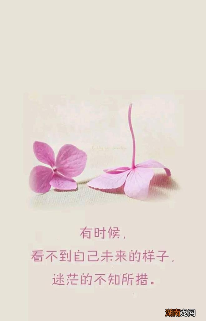 情感障碍的症状表现情感故事素材网站有哪些