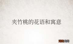 夹竹桃的花语和寓意和象征