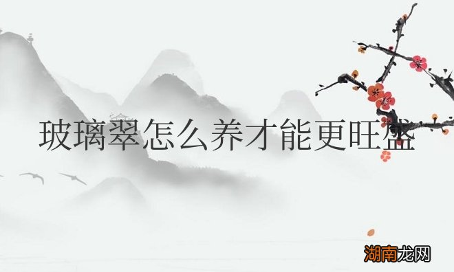 玻璃翠花的养殖方法 玻璃翠怎么养才能更旺盛开花