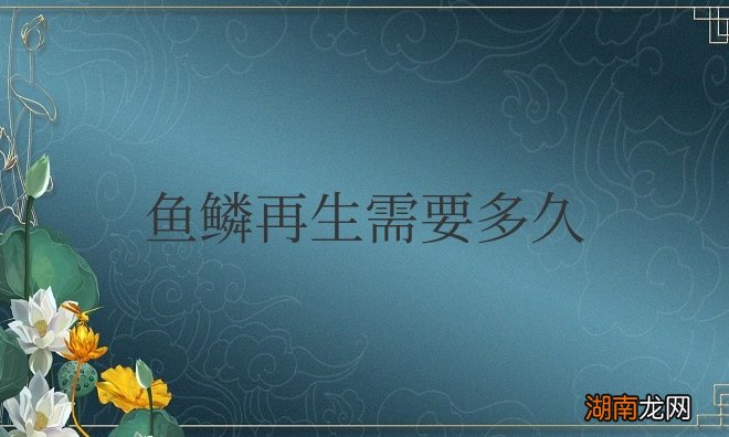 鱼鳞掉了怎样恢复最快 鱼鳞再生需要多久才能成功