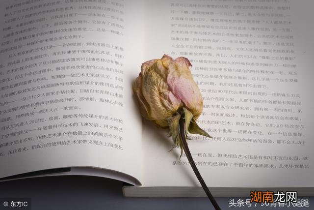 情感图片大全唯美伤感免费情感故事素材网站