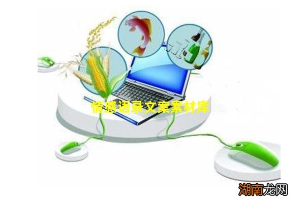 情感语录文案素材库