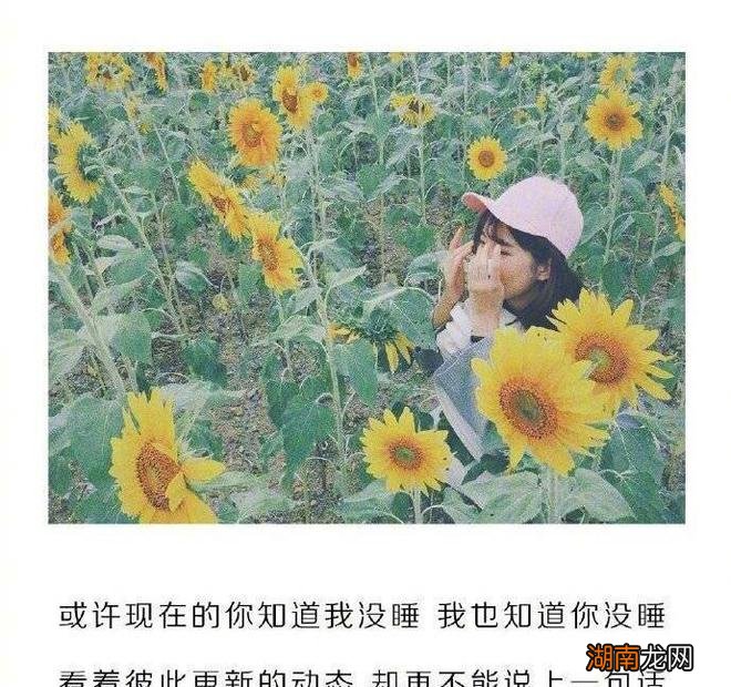 情感故事段子素材