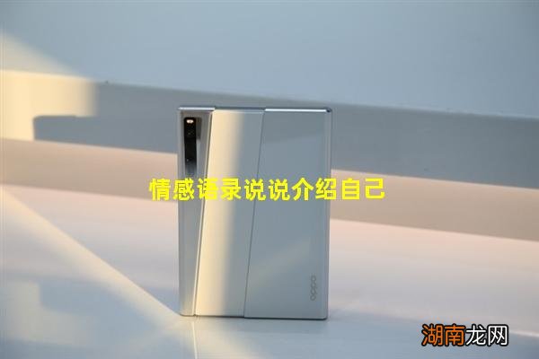 情感语录说说介绍自己