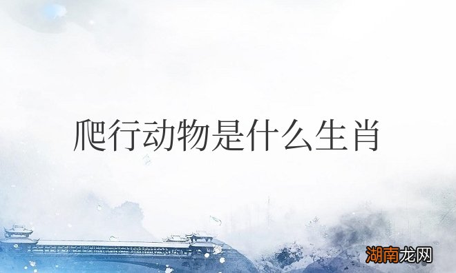 爬行动物是什么生肖