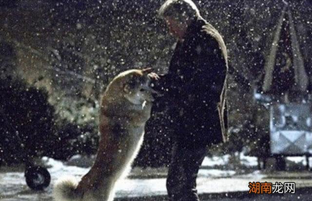 情感百科网址有哪些软件情感故事长篇语录