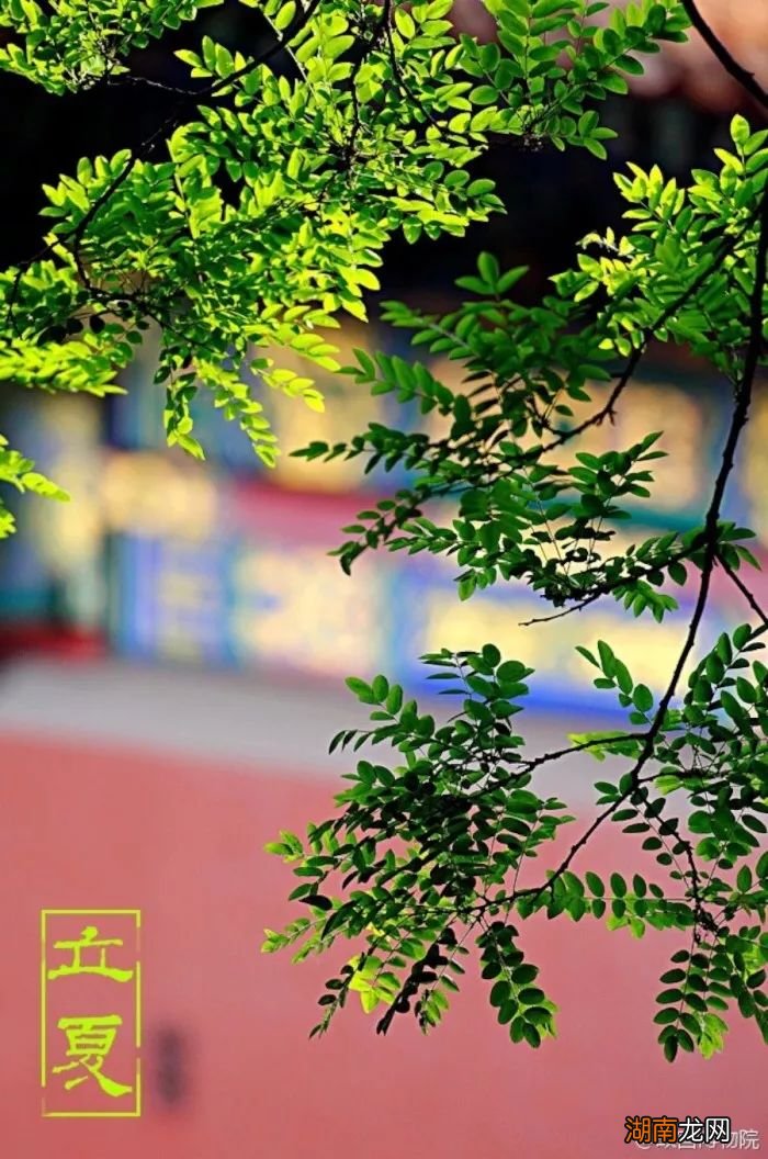 情感语录的素材