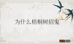 为什么梧桐树招鬼
