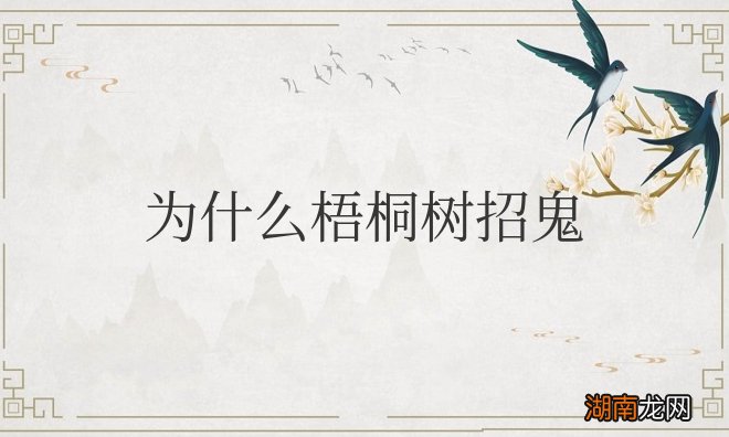 为什么梧桐树招鬼