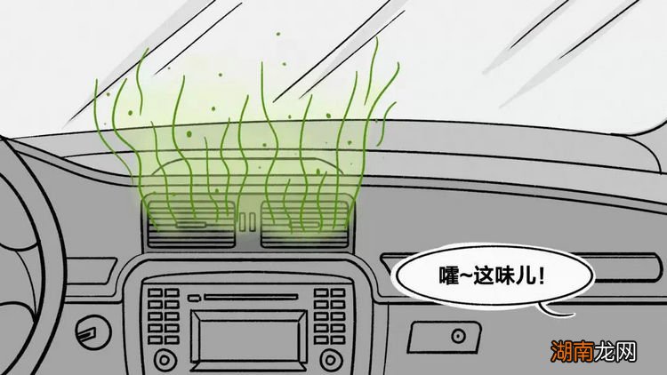 汽车进水有霉味多久才能去掉 车内霉味去除方法