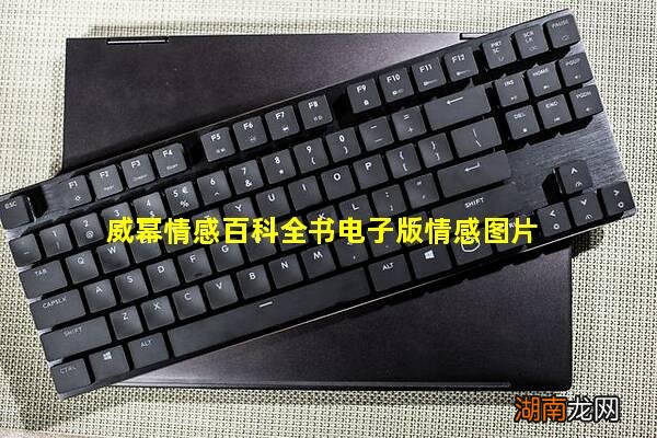 威幂情感百科全书电子版情感图片