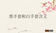 代表什么象征意义 黑手套和白手套含义一样吗