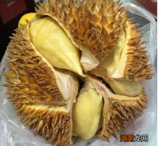 榴莲什么时候成熟什么时候最便宜 榴莲是几月份的水果