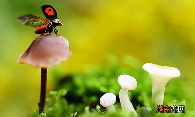 情感故事短篇500字伤感句子