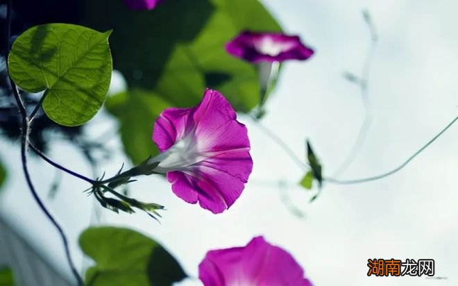 情感故事短篇500字伤感句子