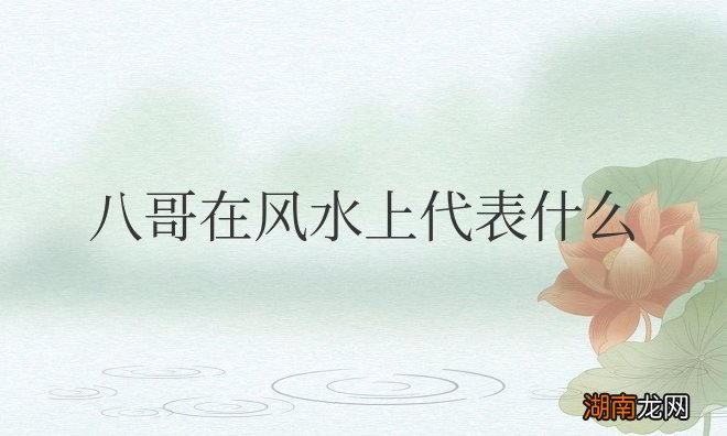 八哥在风水上代表什么意思