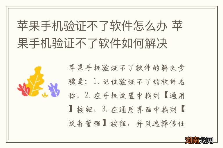 苹果手机验证不了软件怎么办 苹果手机验证不了软件如何解决