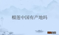 榴莲产地在我国哪里 榴莲中国有产地吗