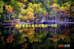 情感语录文案长句素材一分钟