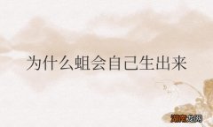 为什么蛆会自己生出来