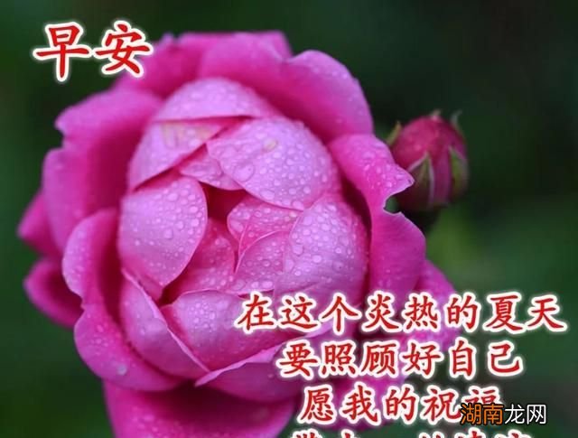 表达情感是什么意思夜听情感故事免费听