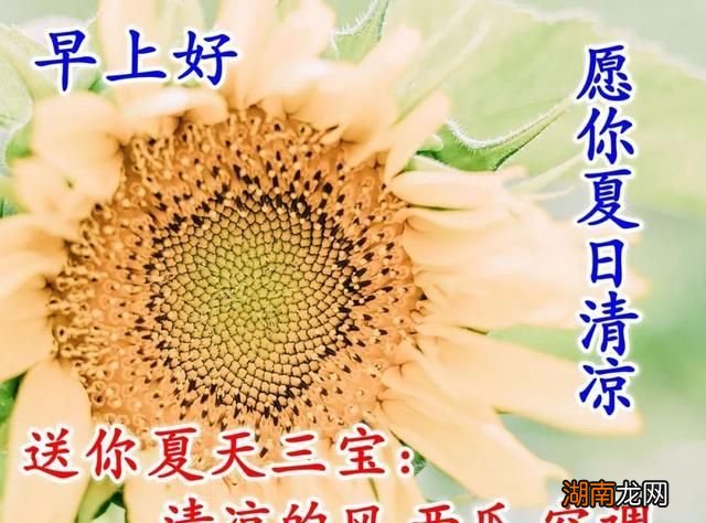 表达情感是什么意思夜听情感故事免费听