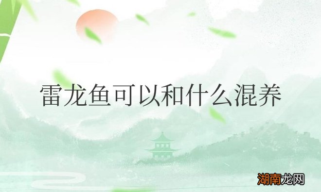 雷龙鱼可以和什么混养