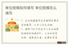 单位规模如何填写 单位规模怎么填写