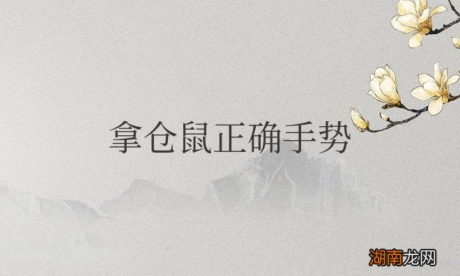 拿仓鼠正确手势不会咬人