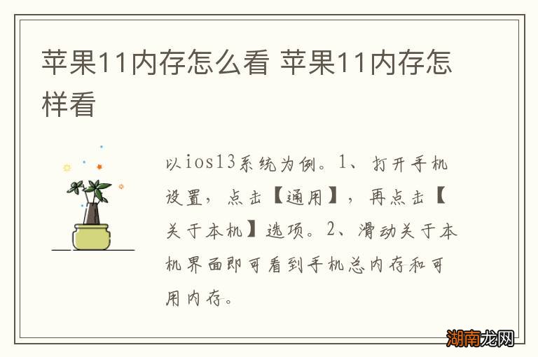 苹果11内存怎么看 苹果11内存怎样看