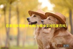 七猫中文网百度百科 百度百科繁體中文網