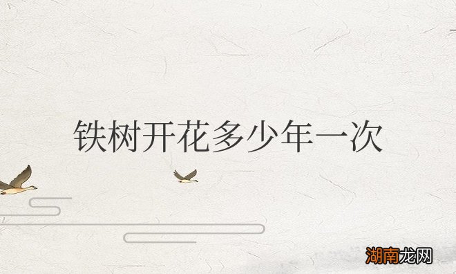 铁树开花多少年一次能维持多久