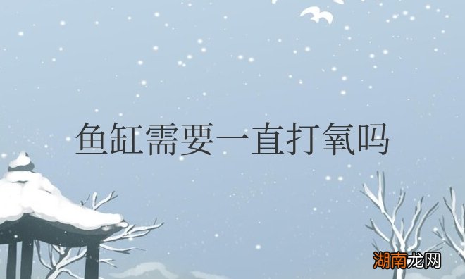 小型鱼缸需要一直打氧吗