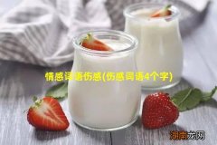 伤感词语4个字 情感词语伤感