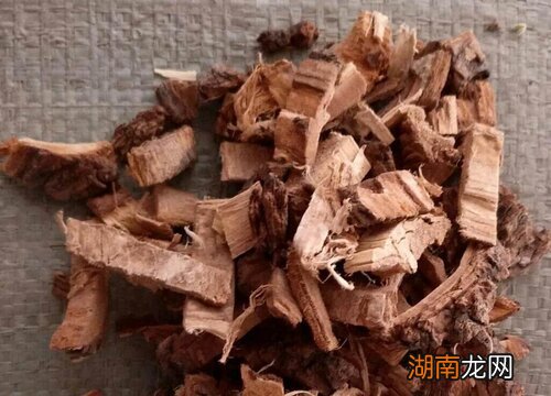 简要说明 树皮的作用有哪些