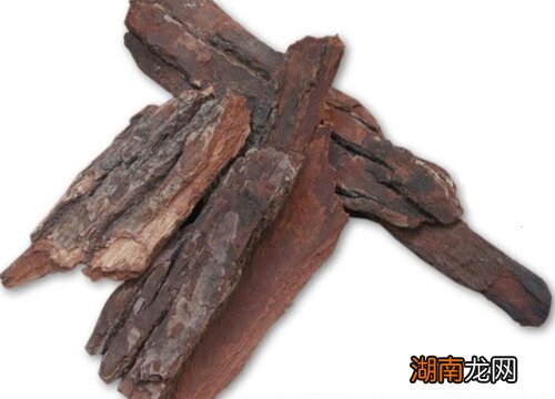 简要说明 树皮的作用有哪些