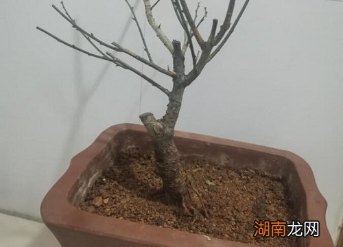 土壤杀菌消毒的方法 给土壤杀菌该用什么最好呢