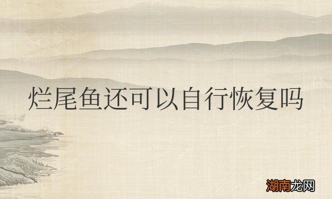 用什么药最合适 烂尾鱼还可以自行恢复吗