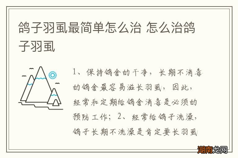 鸽子羽虱最简单怎么治 怎么治鸽子羽虱
