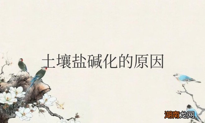 土壤盐碱化治理措施 造成土壤盐碱化的原因分析