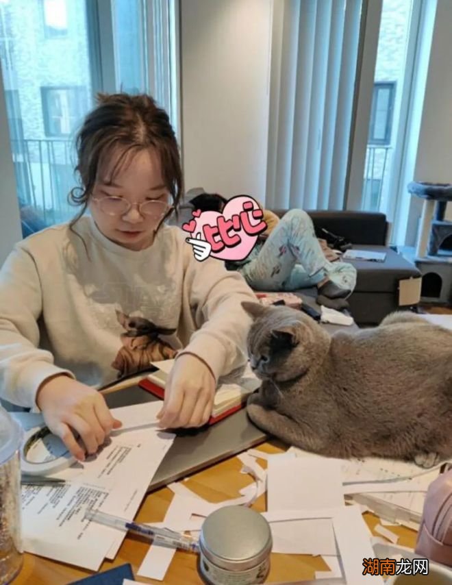 情感故事短篇文案免费抒发情感是什么意思