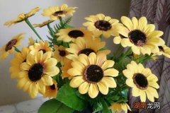 家里不能放假花是迷信吗 家里不能放假花有什么讲究