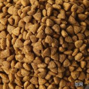 全价狗粮和幼犬狗粮的区别 全价狗粮适合幼犬吗