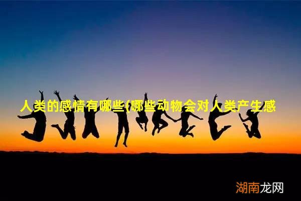 哪些动物会对人类产生感情 人类的感情有哪些